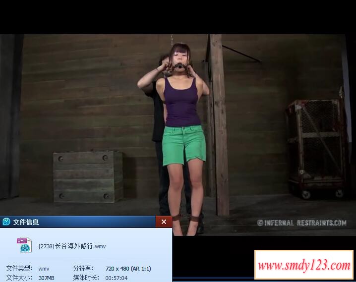 长谷修行版绳艺捆绑刑具固定驷马